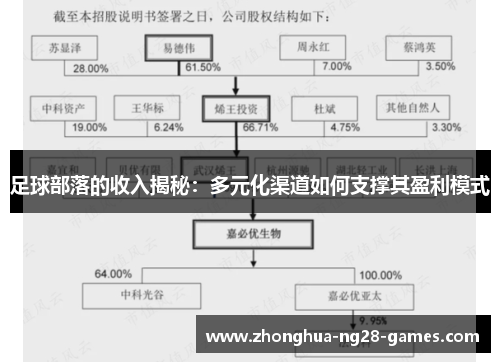 足球部落的收入揭秘：多元化渠道如何支撑其盈利模式
