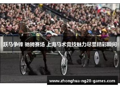 跃马争锋 驰骋赛场 上海马术竞技魅力尽显精彩瞬间
