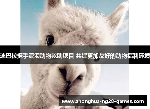 迪巴拉携手流浪动物救助项目 共建更加友好的动物福利环境